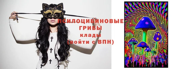 спиды Абаза