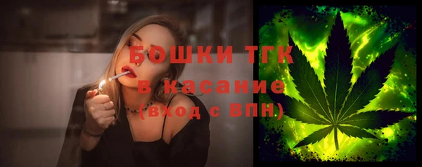 соль ск Алзамай