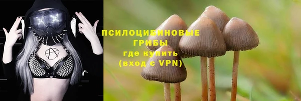 стаф Абдулино