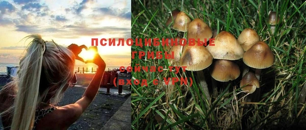 стаф Абдулино