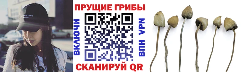 Галлюциногенные грибы MAGIC MUSHROOMS  omg зеркало  Иннополис 